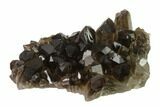 Dark Smoky Quartz Crystal Cluster - Brazil #134948-1